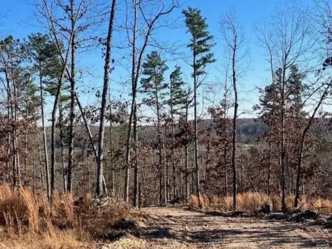 6.197 Acres of Wooded Land