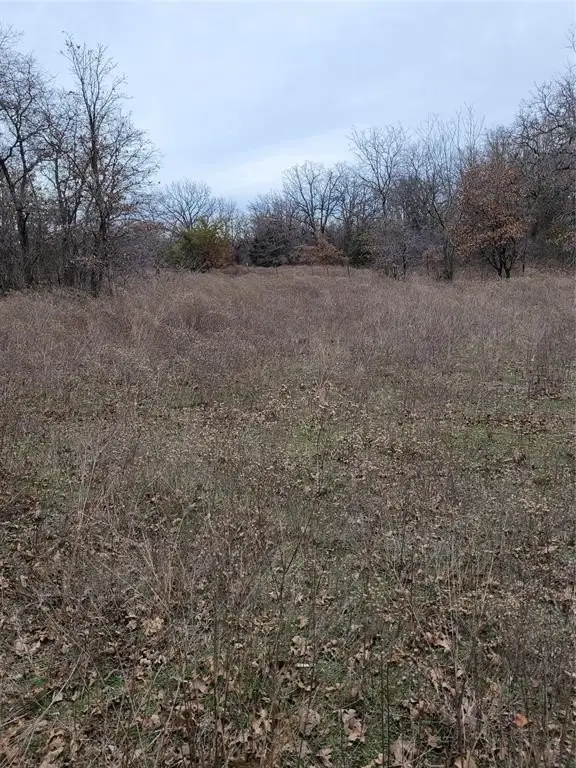 Picture 3