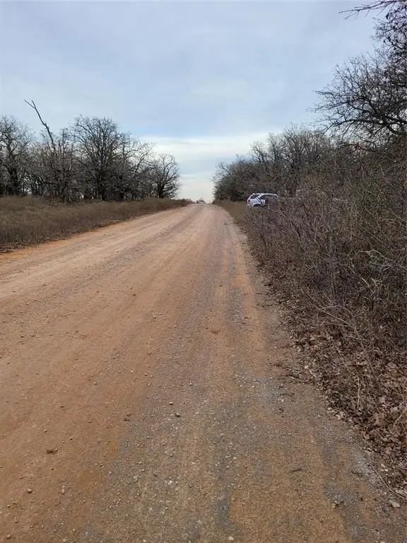 Picture 11