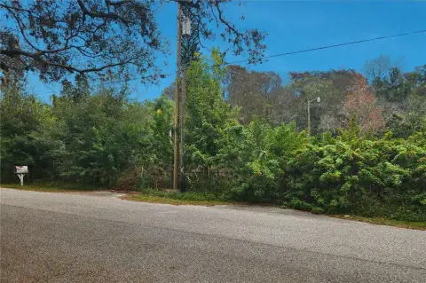 Residential Land in Bear Creek