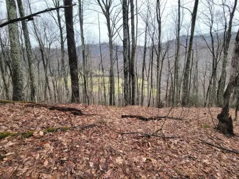 Waynesville Land with Mountain Views