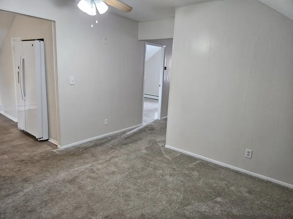 Picture 20