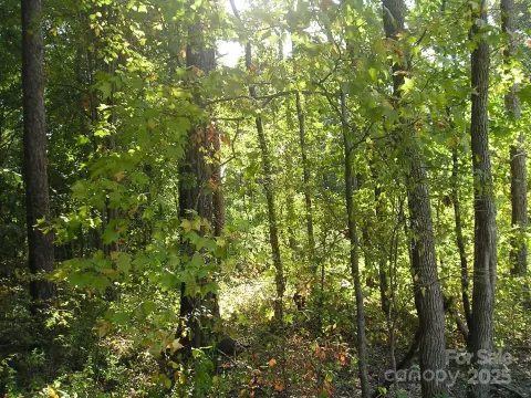 Residential Land in Indian Trail