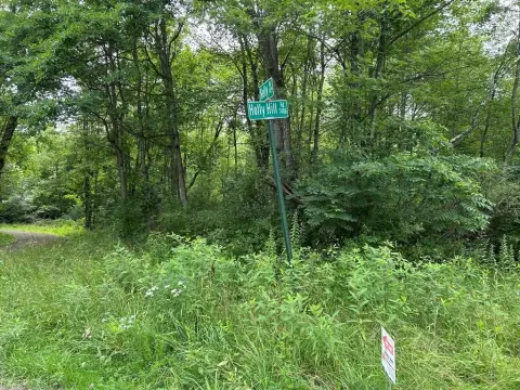 Wooded Hunting Land with Road Frontage