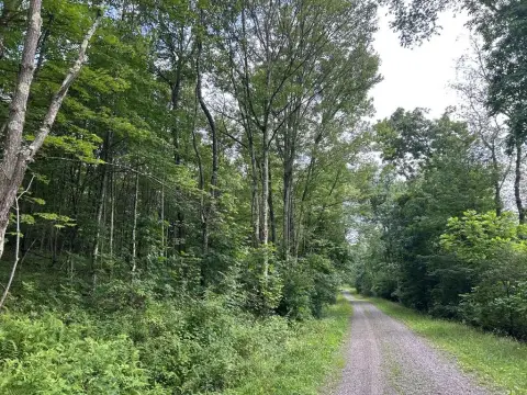 Wooded Hunting Land with Power Line