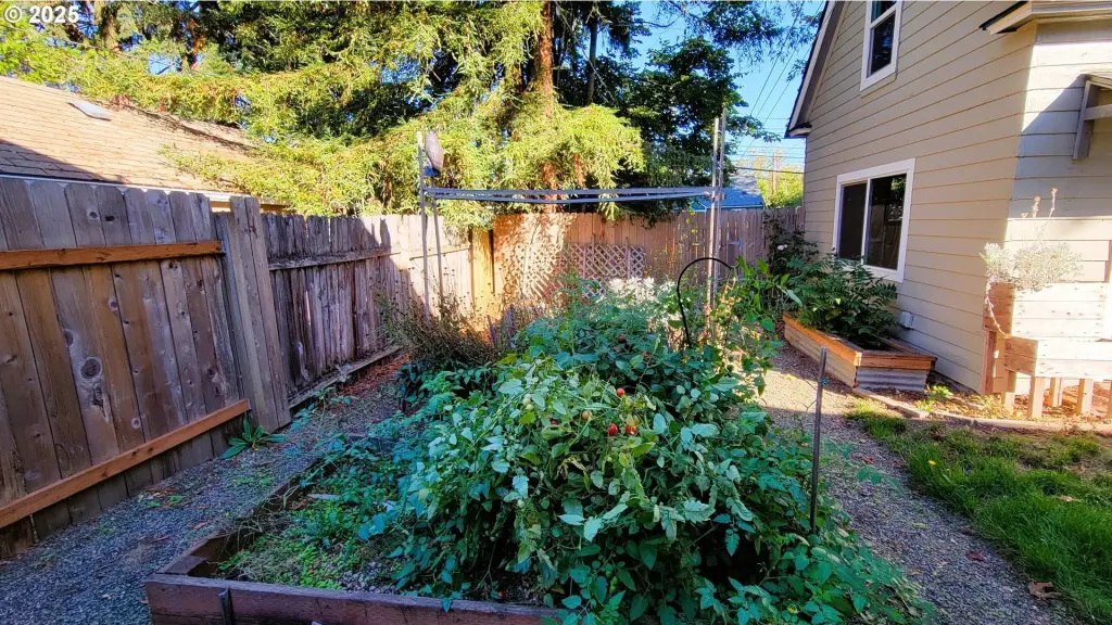 Picture 10