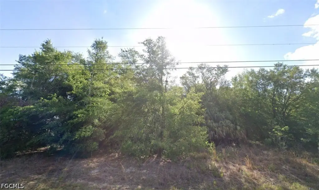 Picture 5