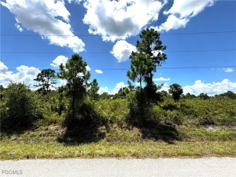 Lehigh Acres Half-Acre Lot