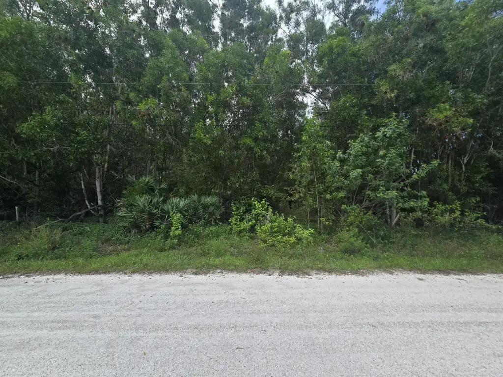 Picture 5