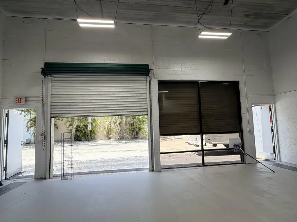 Picture 5