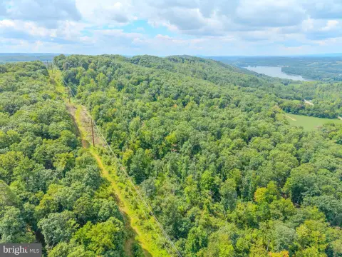 Woodland Agricultural Land