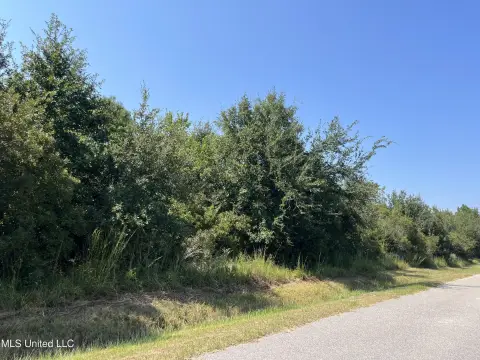 Land Near Gulf Coast Beaches