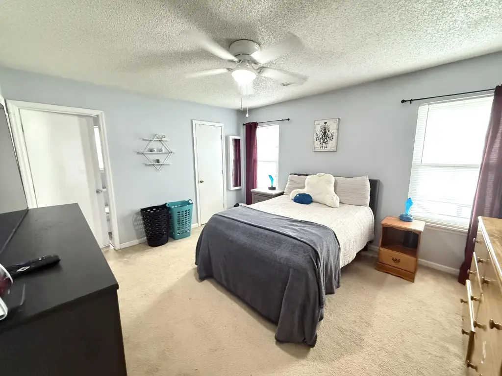 Picture 5