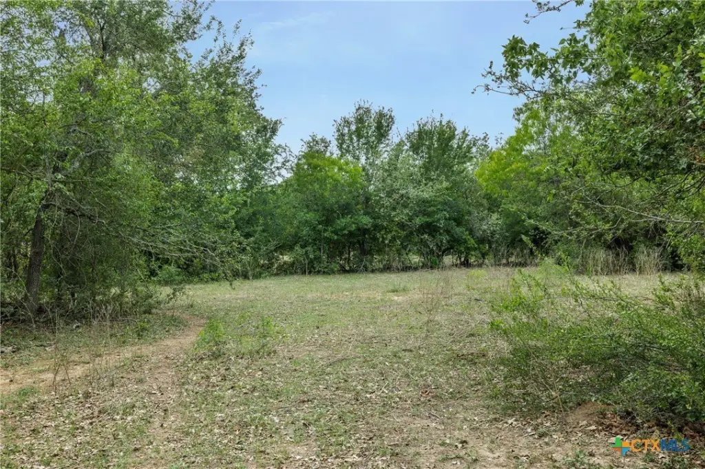 Picture 8