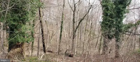 Land Near Chesapeake Beach