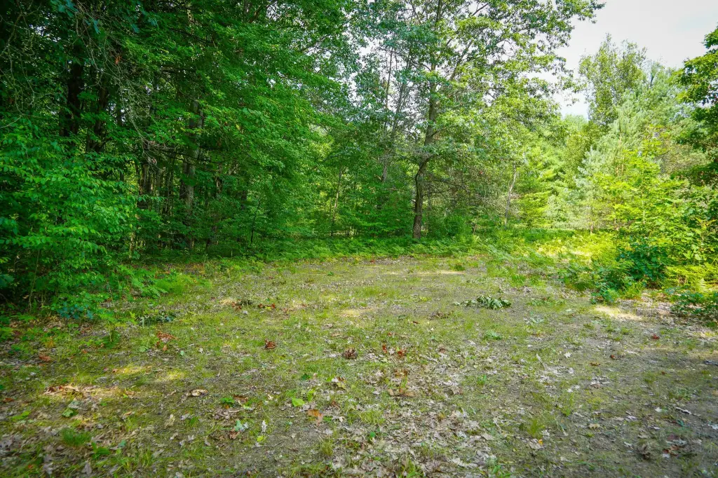 Picture 19