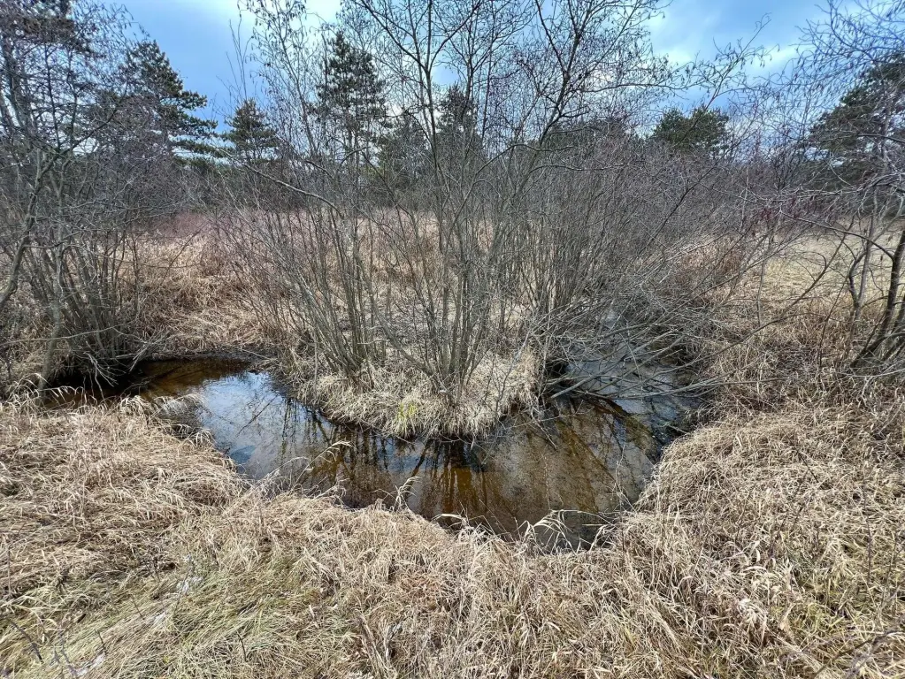 Picture 19