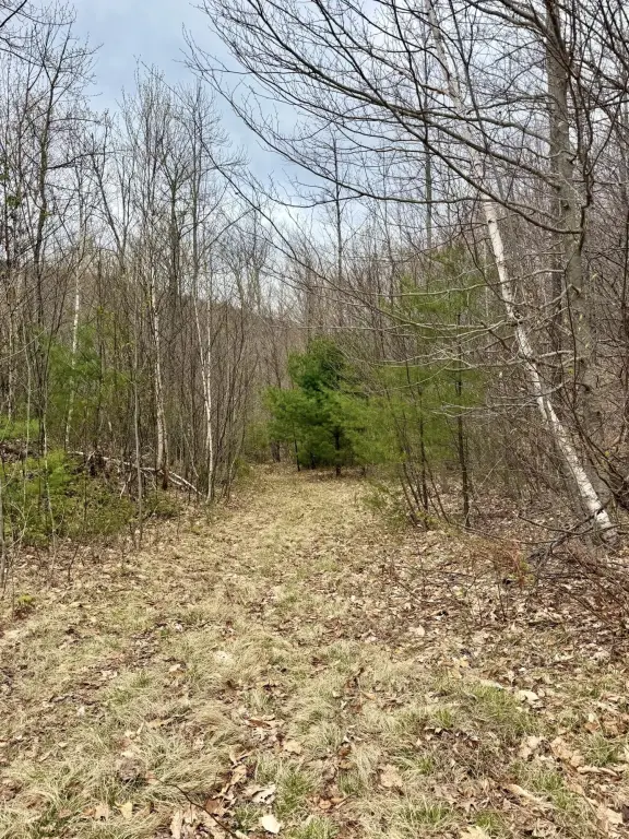 Picture 19