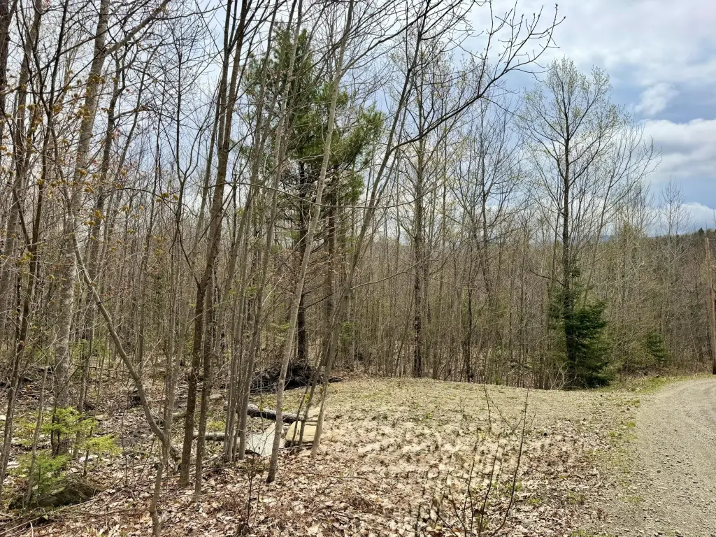 Picture 10