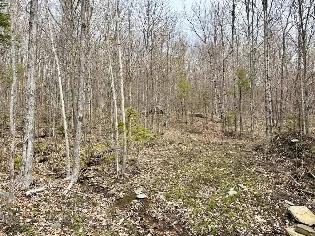 Picture 2