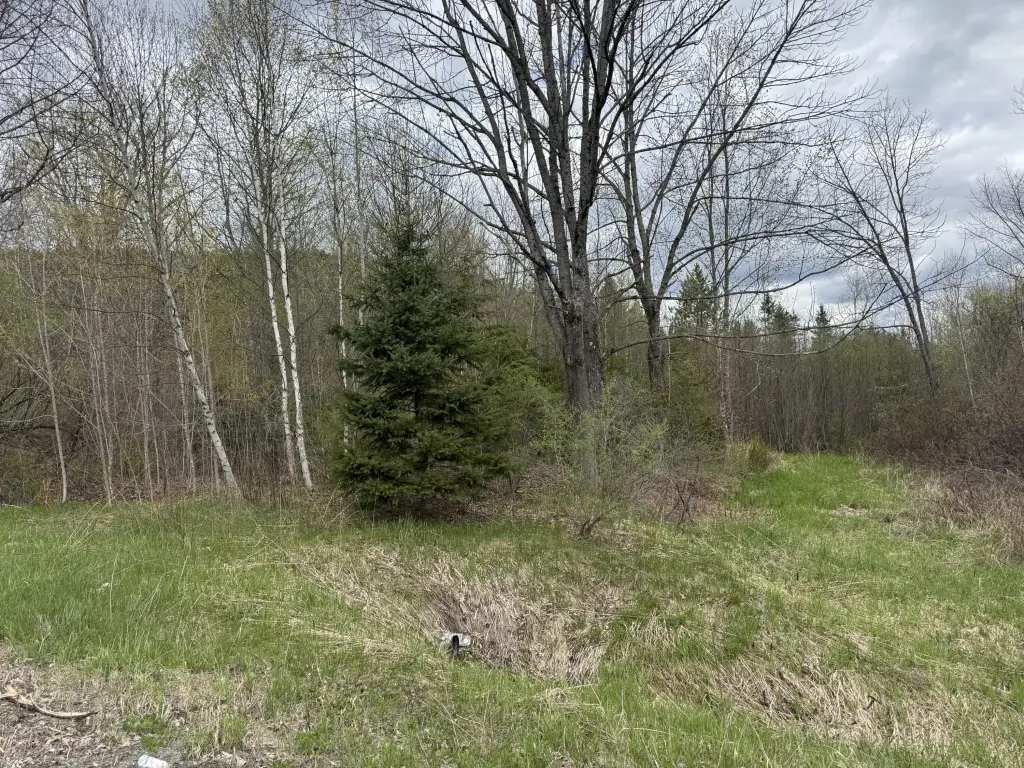 Picture 3