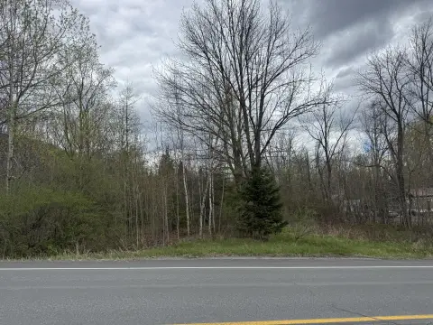 Undeveloped Lot on State Highway