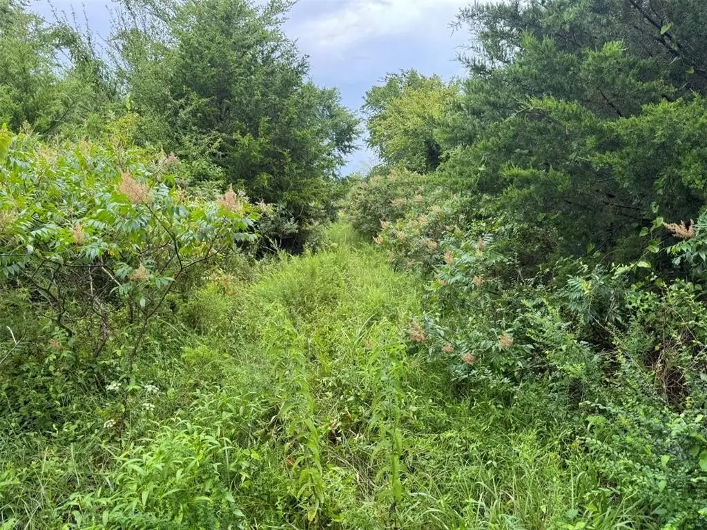 Picture 27