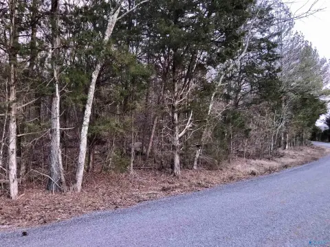 Unrestricted Wooded Acreage Near Huntsville