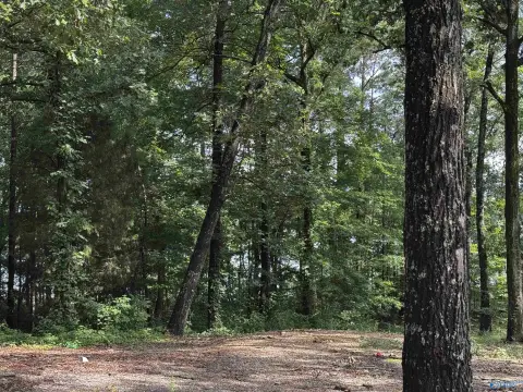 Waterfront Lot in Cherokee County