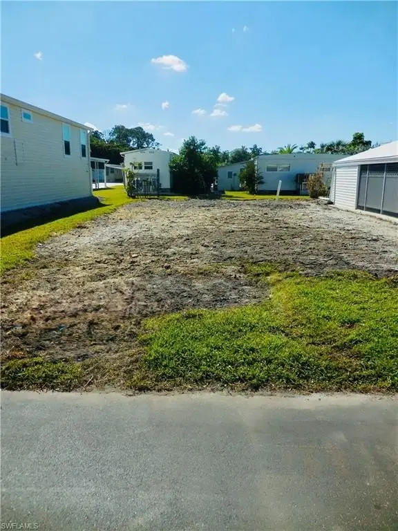 Picture 19