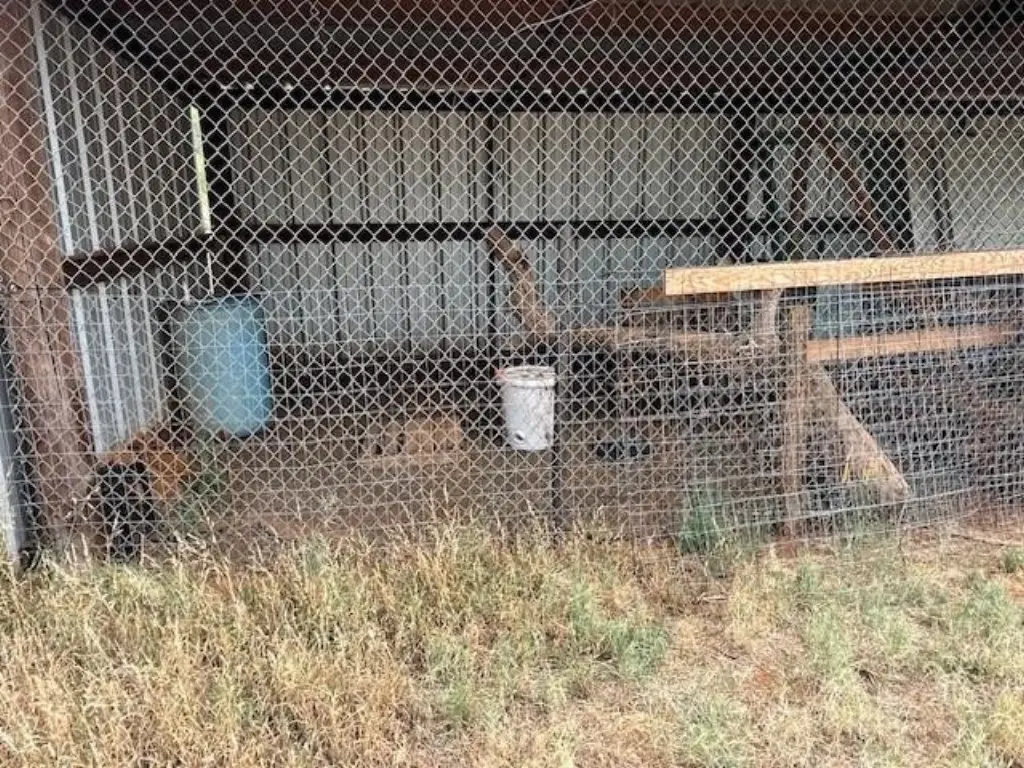 Picture 14