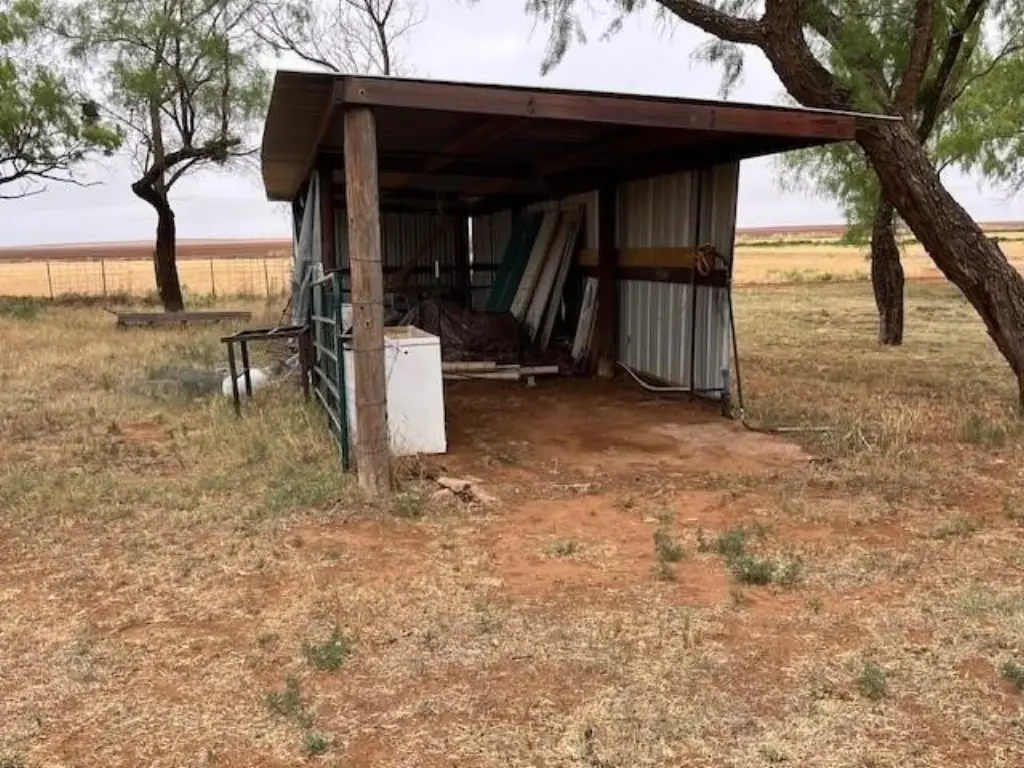 Picture 13