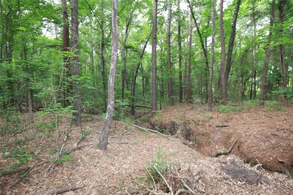 Picture 10