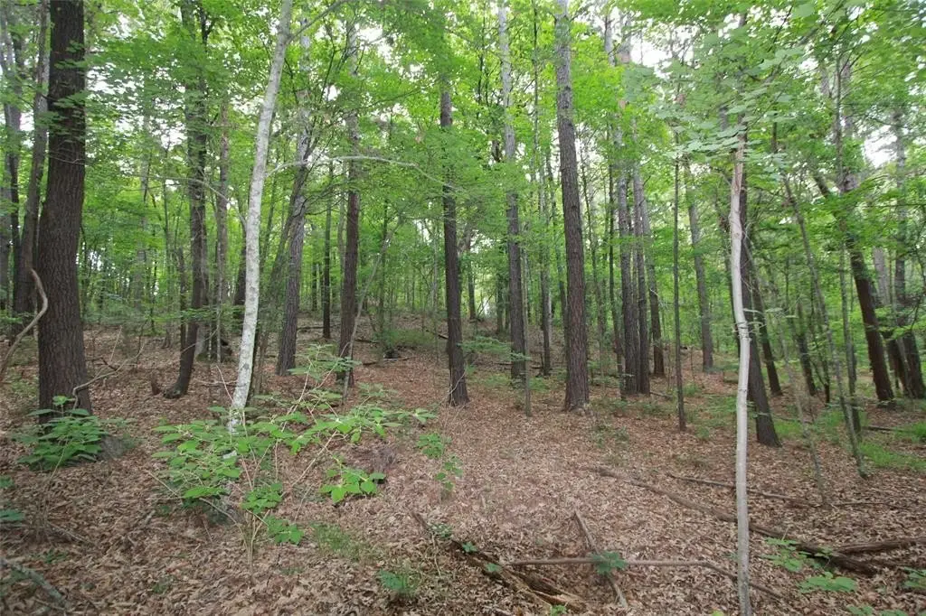 Picture 11