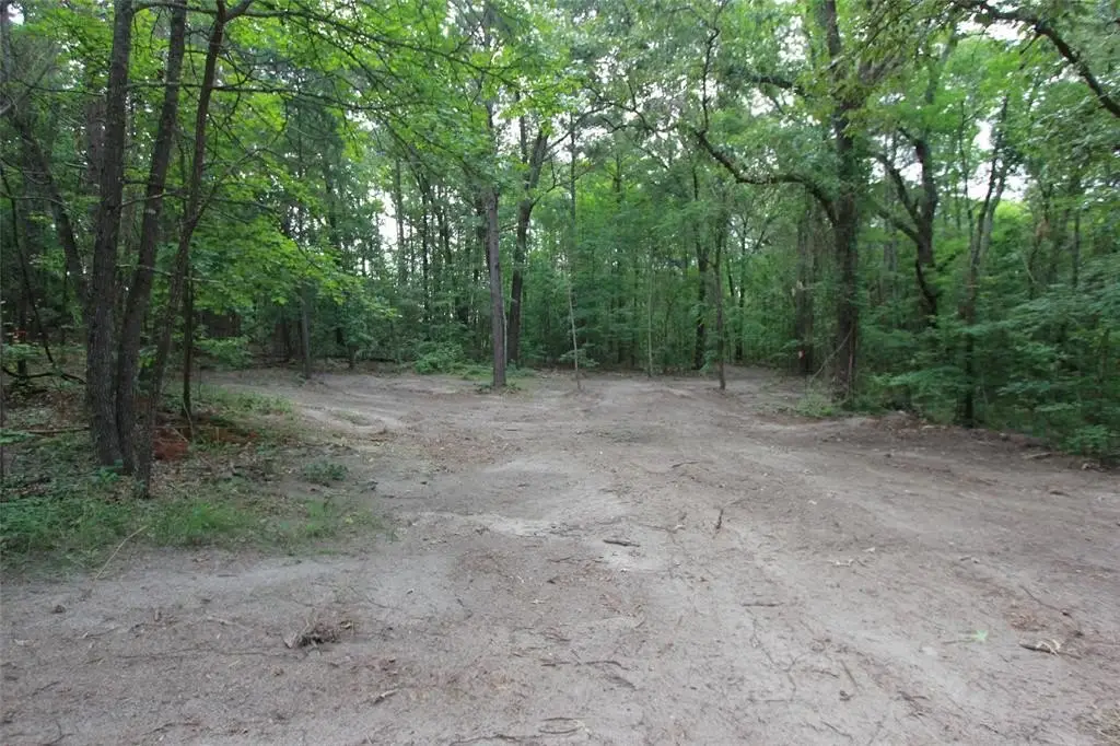 Picture 6
