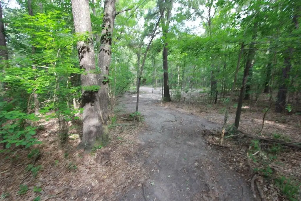 Picture 12