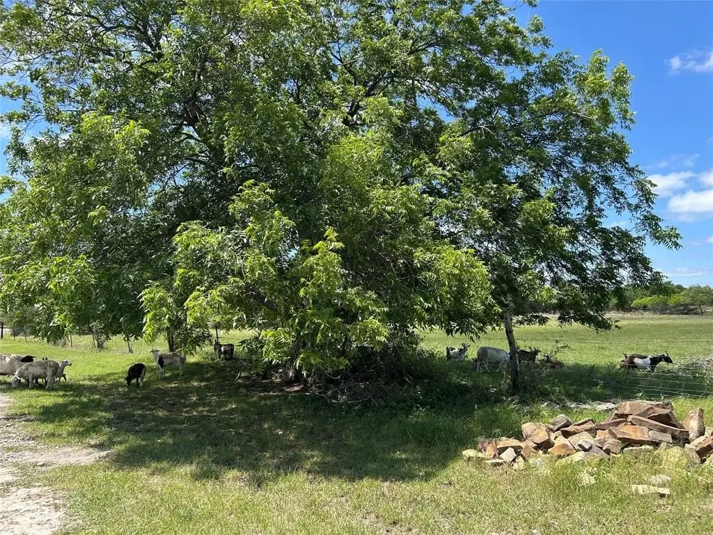 Picture 22