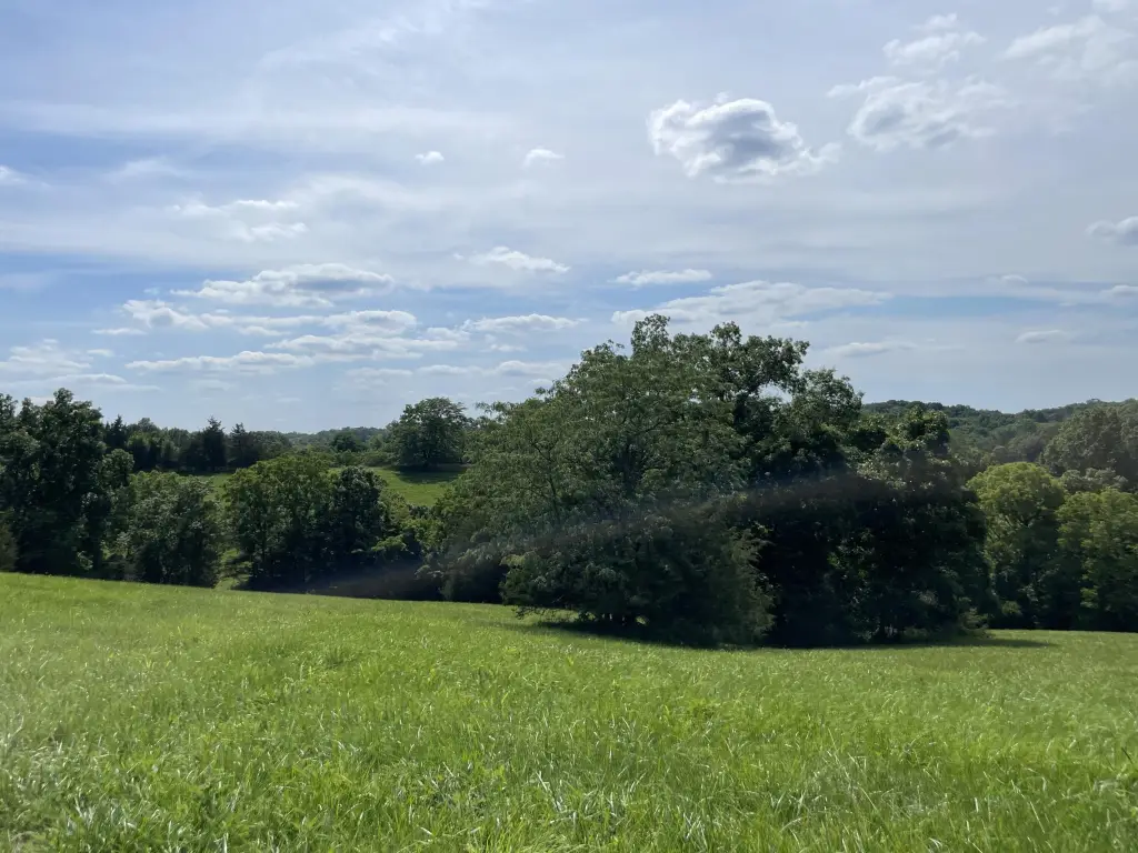 Picture 25