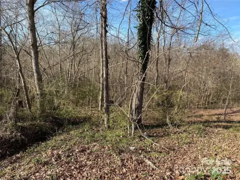 Recreational Land Near Catawba River