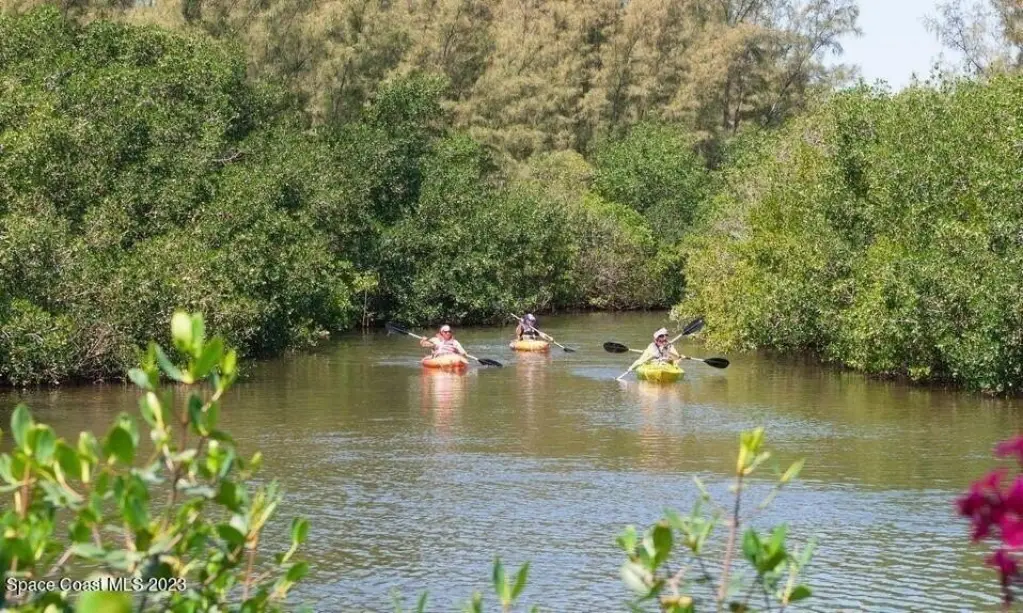 Picture 27