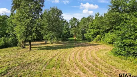 Gilmer Acreage Ideal Home-place