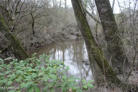 Bogue Chitto Land For Sale