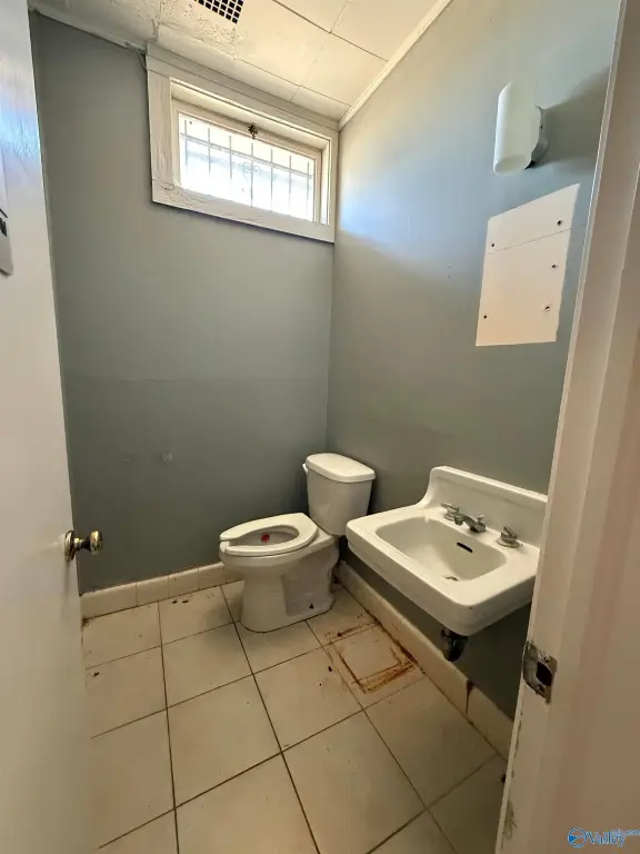 Picture 12