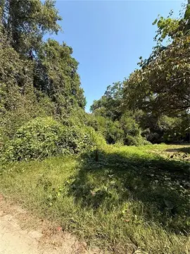 Residential Land in Almond Park