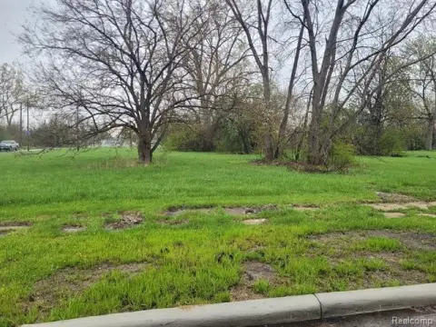 Detroit Vacant Land Investment Opportunity