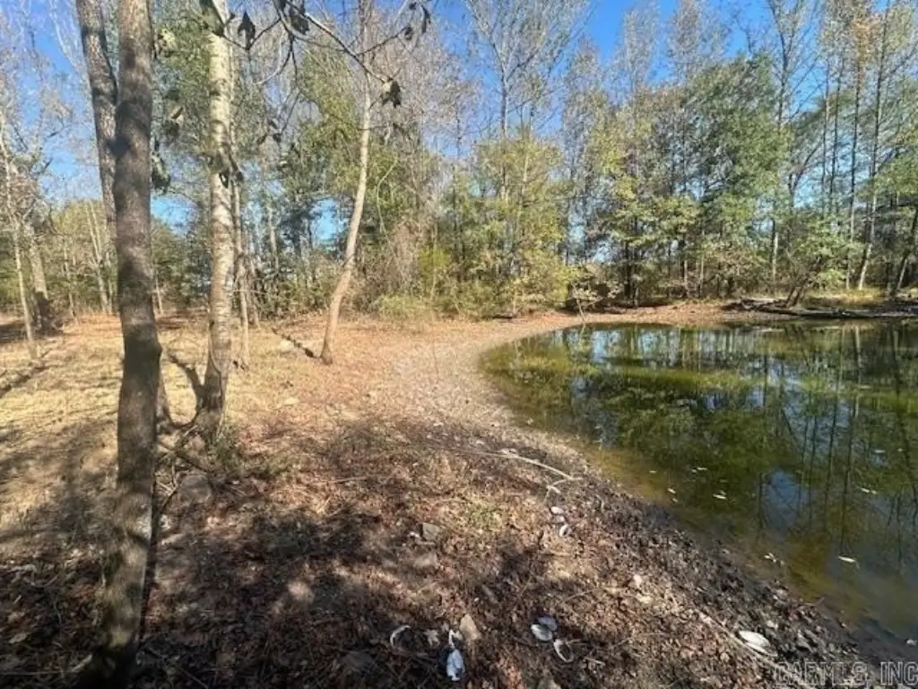 Picture 13