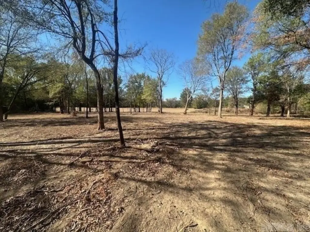 Picture 10
