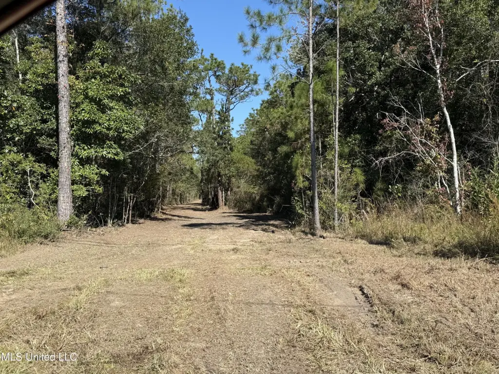 Picture 19