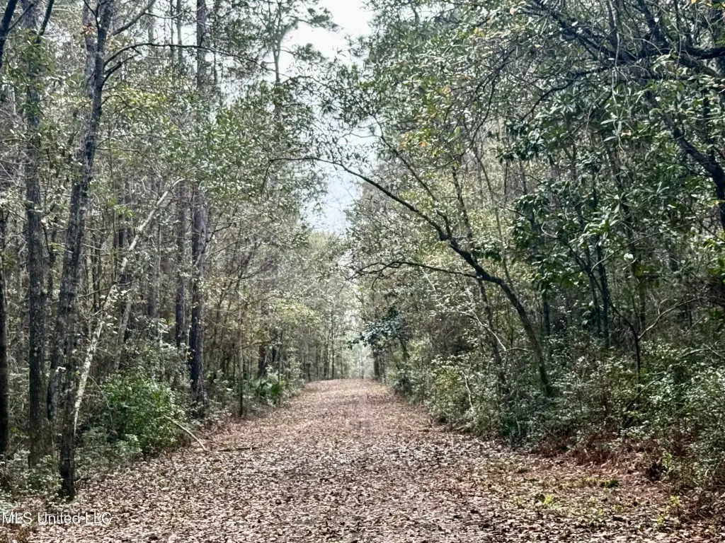 Picture 21