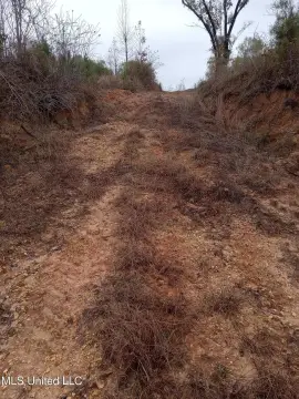 Amite County Land For Sale